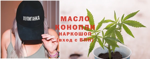 хмурый Арсеньев