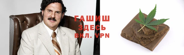 гидра Армянск