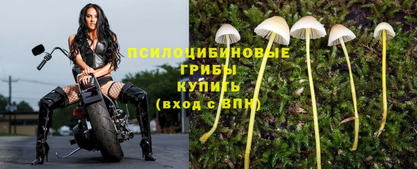 хмурый Арсеньев