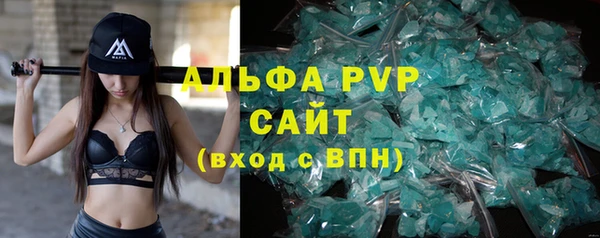 прущие грибы Бородино