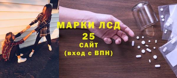 хмурый Арсеньев