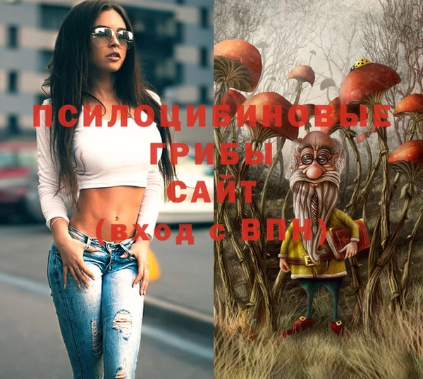гидра Армянск