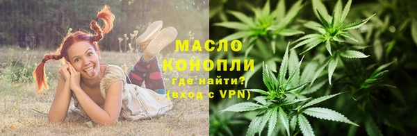 хмурый Арсеньев