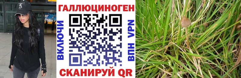 Псилоцибиновые грибы мицелий даркнет сайт Курган
