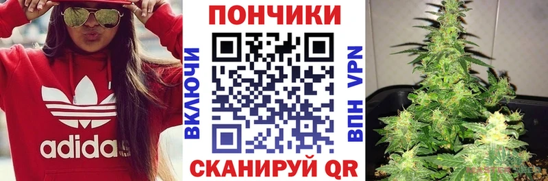 купить наркотик  Курган  Конопля ГИДРОПОН 